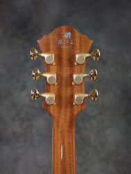 2014-Ibanez-PM-200-NT-Natural-Sitka