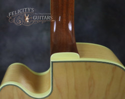 2014-Ibanez-PM-200-NT-Natural-Sitka