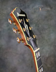 2014-Ibanez-PM-200-NT-Natural-Sitka