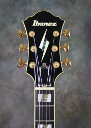 2014-Ibanez-PM-200-NT-Natural-Sitka