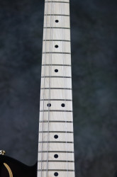 2016-Fender-Telecaster-Burton-Red-Paisy-Flame