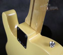 2016-Fender-Telecaster-AVS-'52-Butterscotch